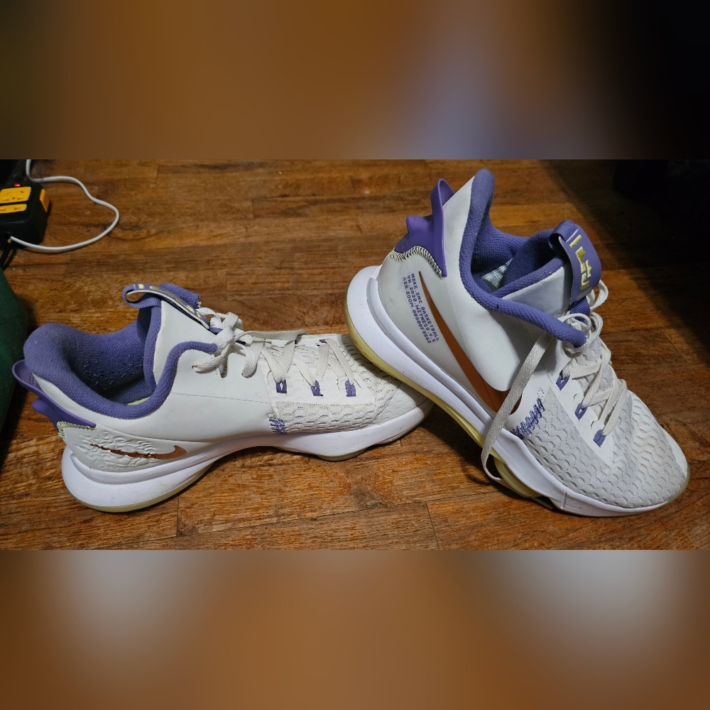 LeBron Witness 5